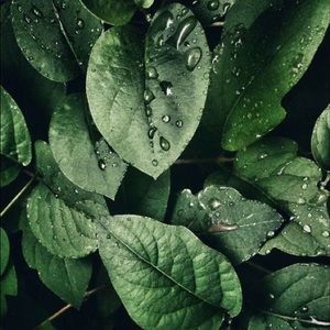 Meet your Posher, Chi